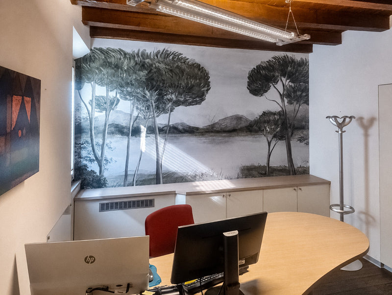 Carta da parati per ufficio: un paesaggio entra in uno studio commercialisti
