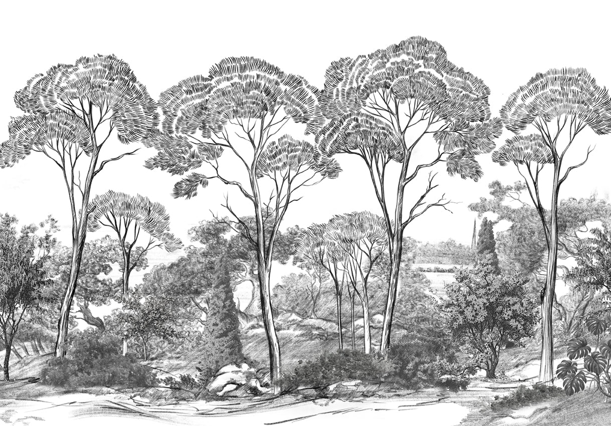 SCENIC LANDSCAPE