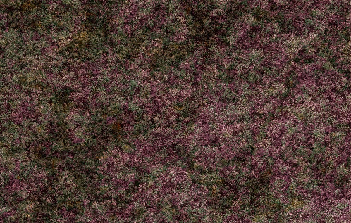 ETHEREAL NATURE - Murals Wallcoverings