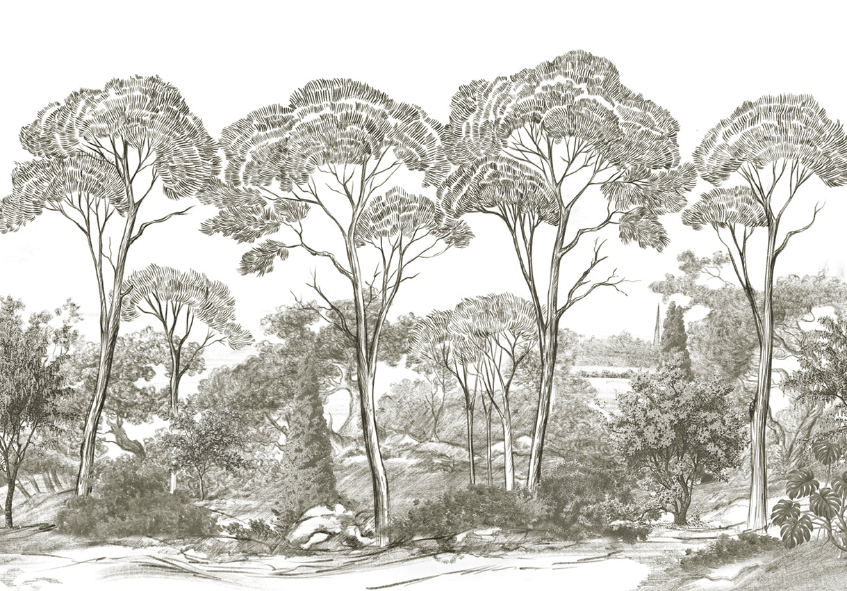 SCENIC LANDSCAPE