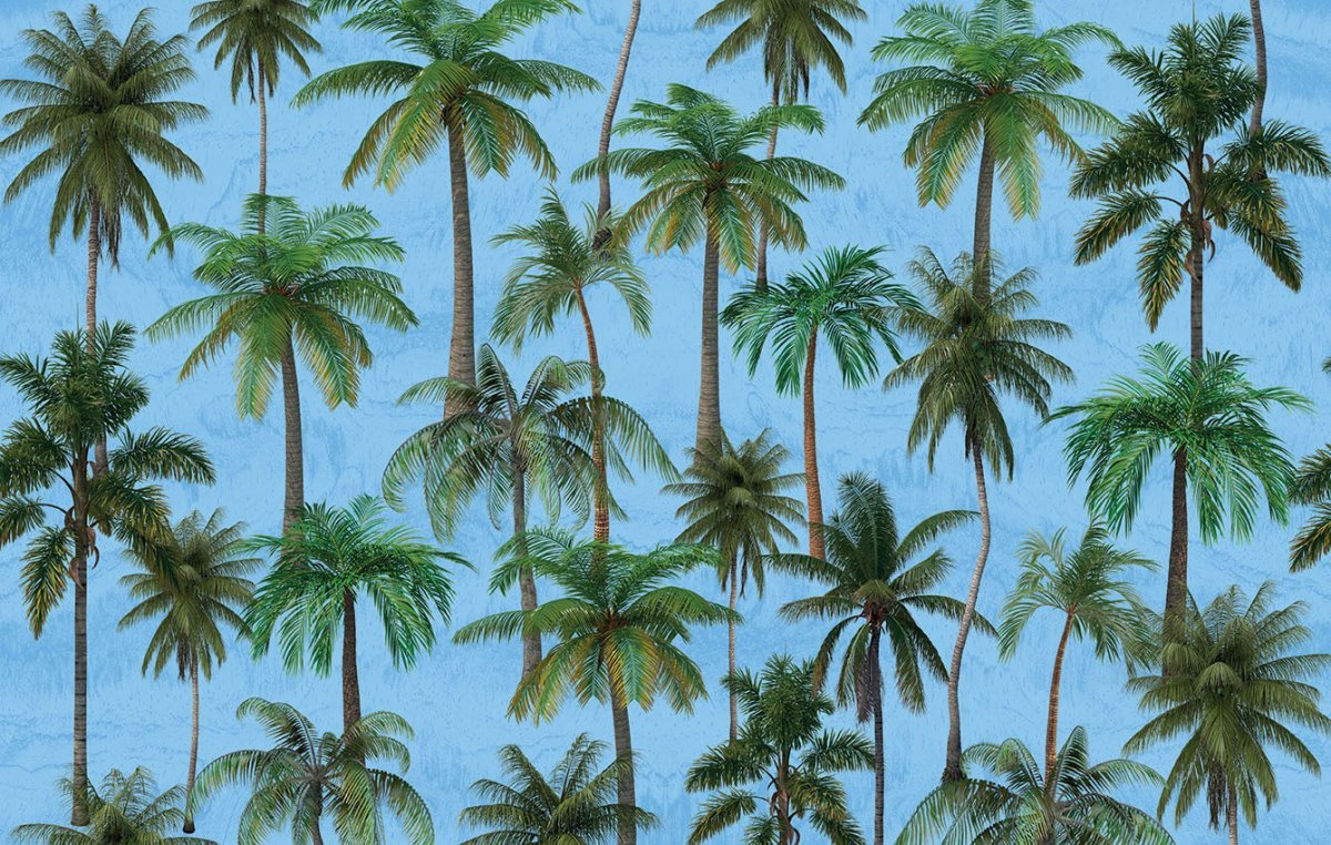 MIAMI BEACH - Murals Wallcoverings