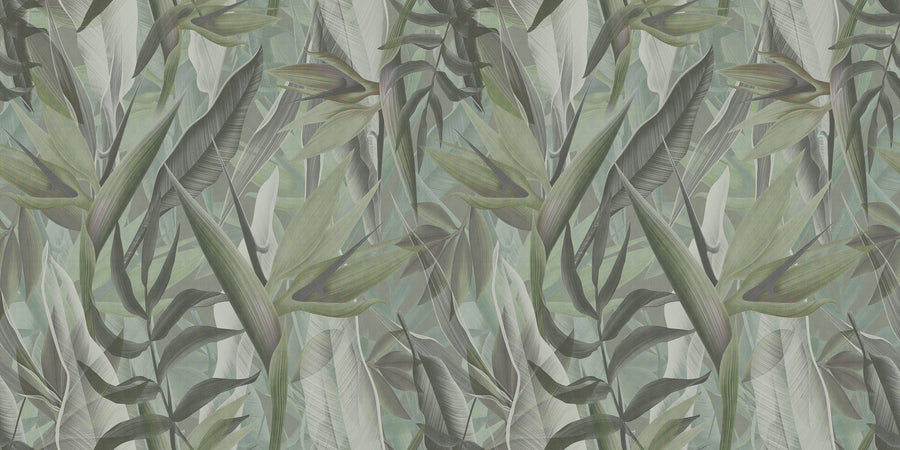 ORN18_024-A