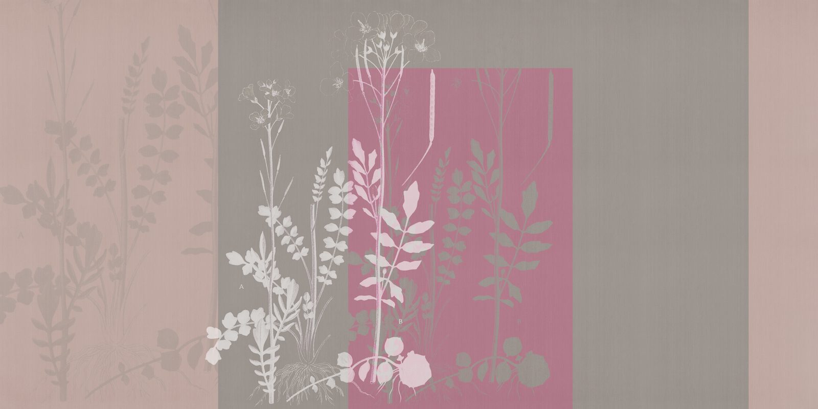 ORN18_040-A