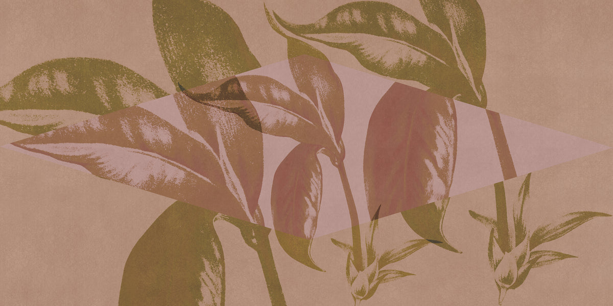 ORN18_041-A