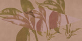 ORN18_041-A