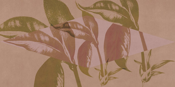 ORN18_041-A