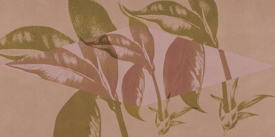 ORN18_041-A