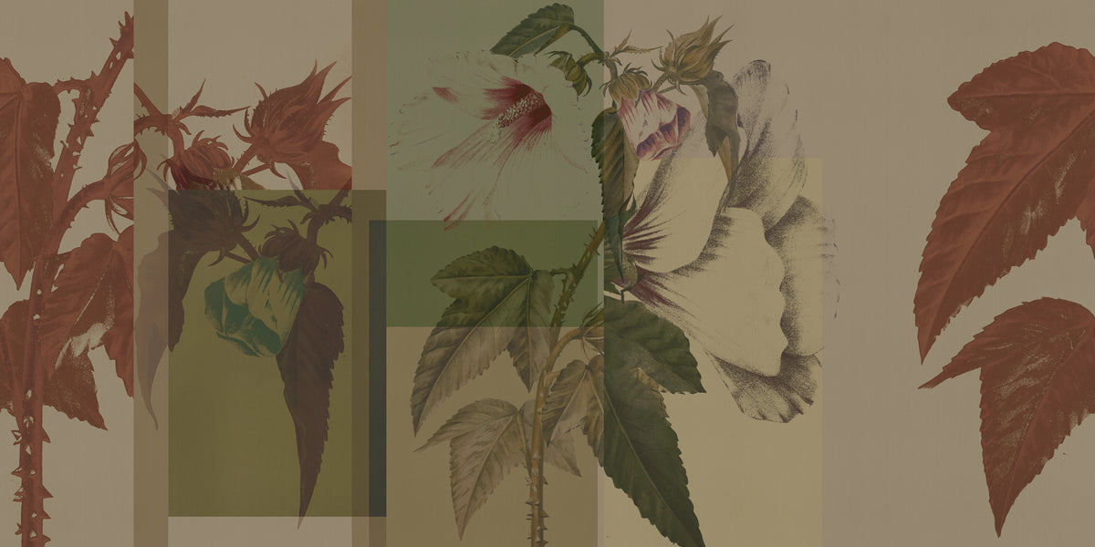 ORN18_042-B