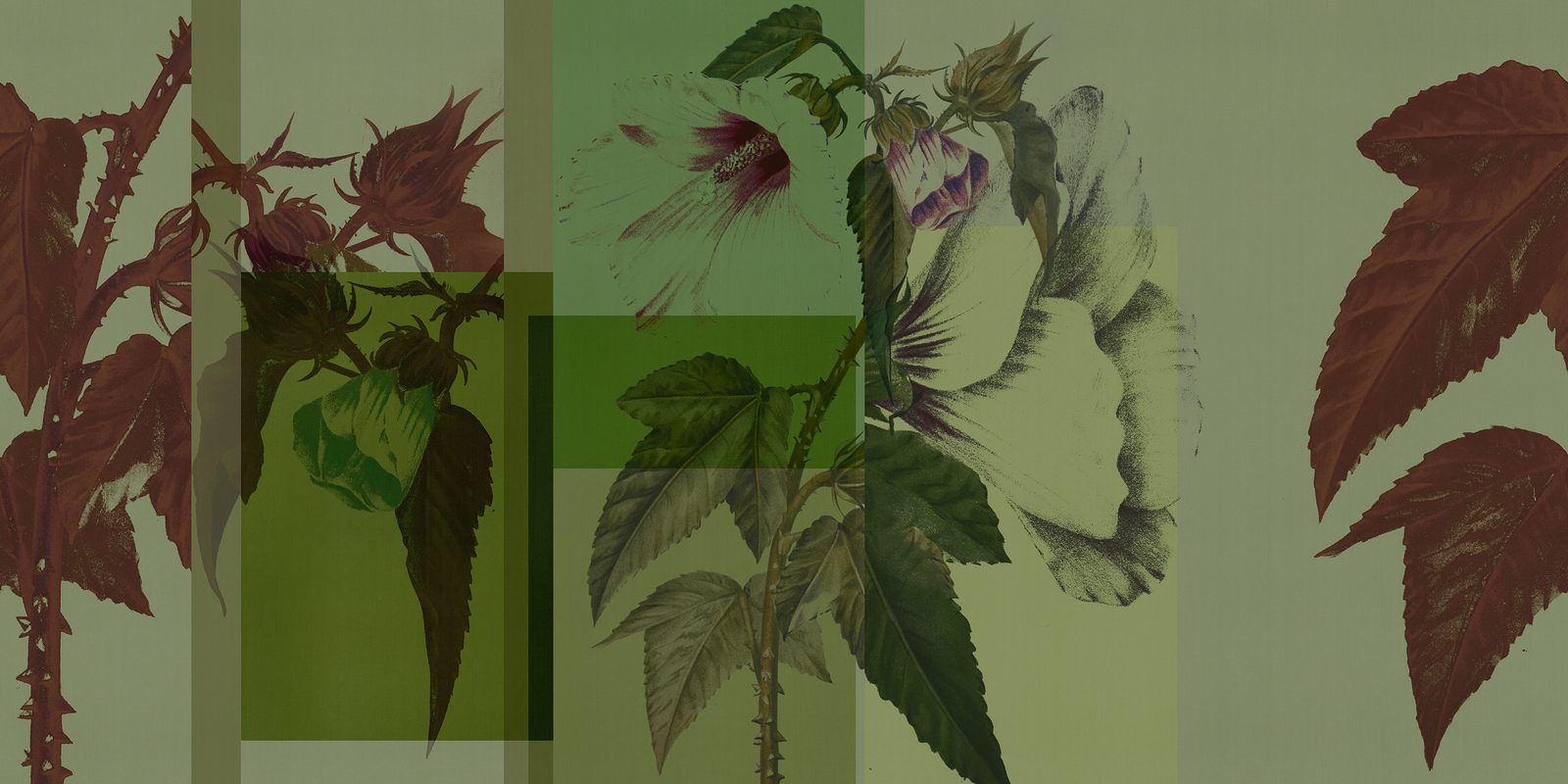 ORN18_042-B