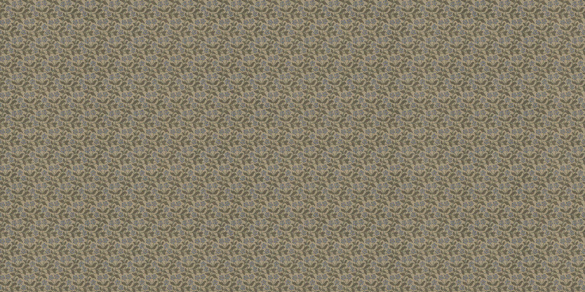 ORN19_009-A