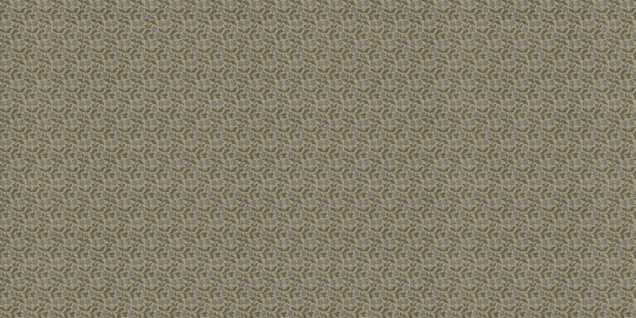 ORN19_009-A
