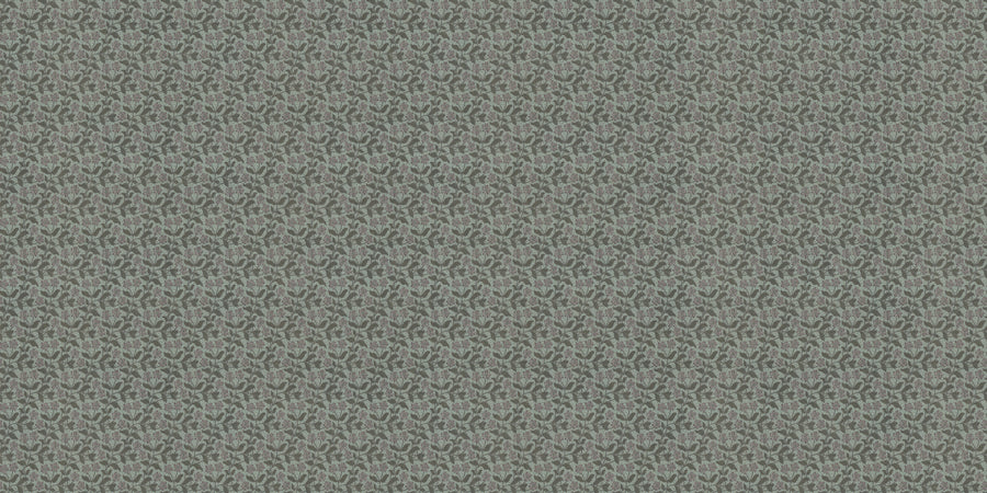 ORN19_009-C