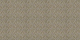 ORN19_010-C