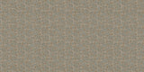 ORN19_011-C