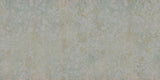 ORN21_015-B