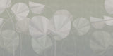 ORN22_015-B