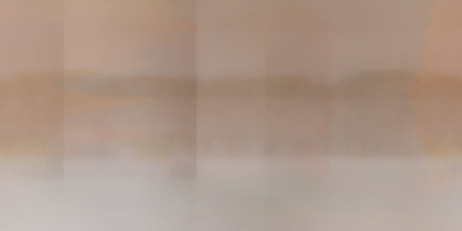 ORN24_002 Alba