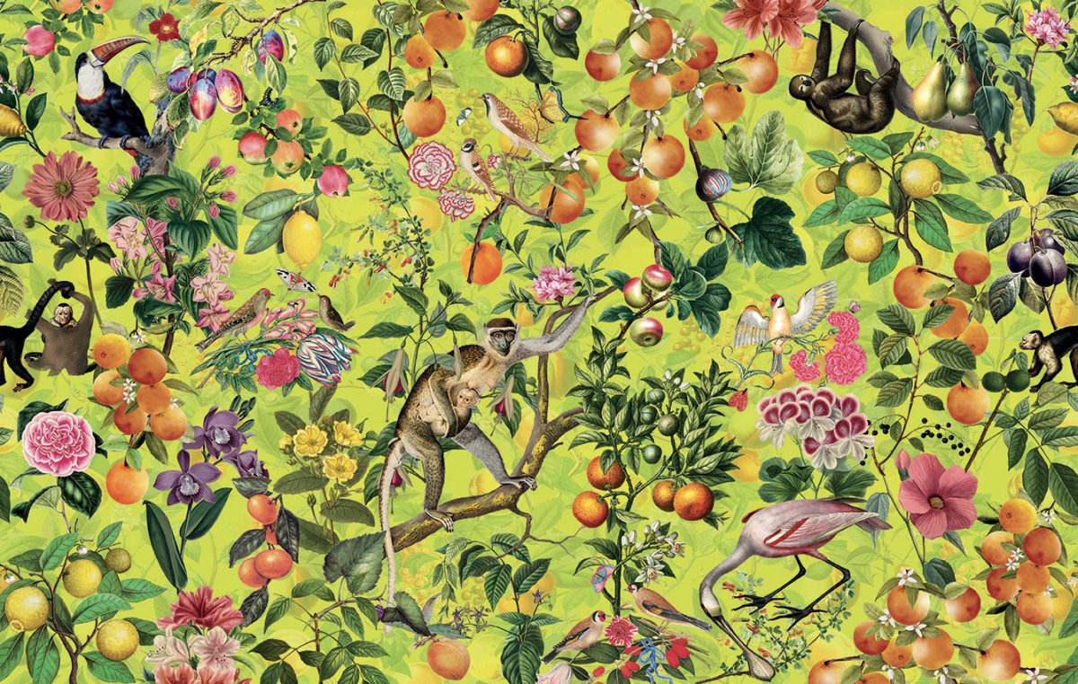 SUPERNATURE - Murals Wallcoverings